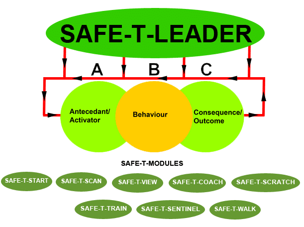 ABC Model Loop