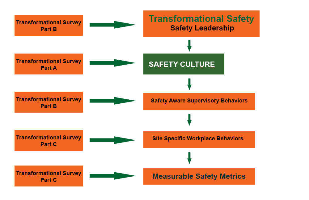 transaformationalsurveymodel